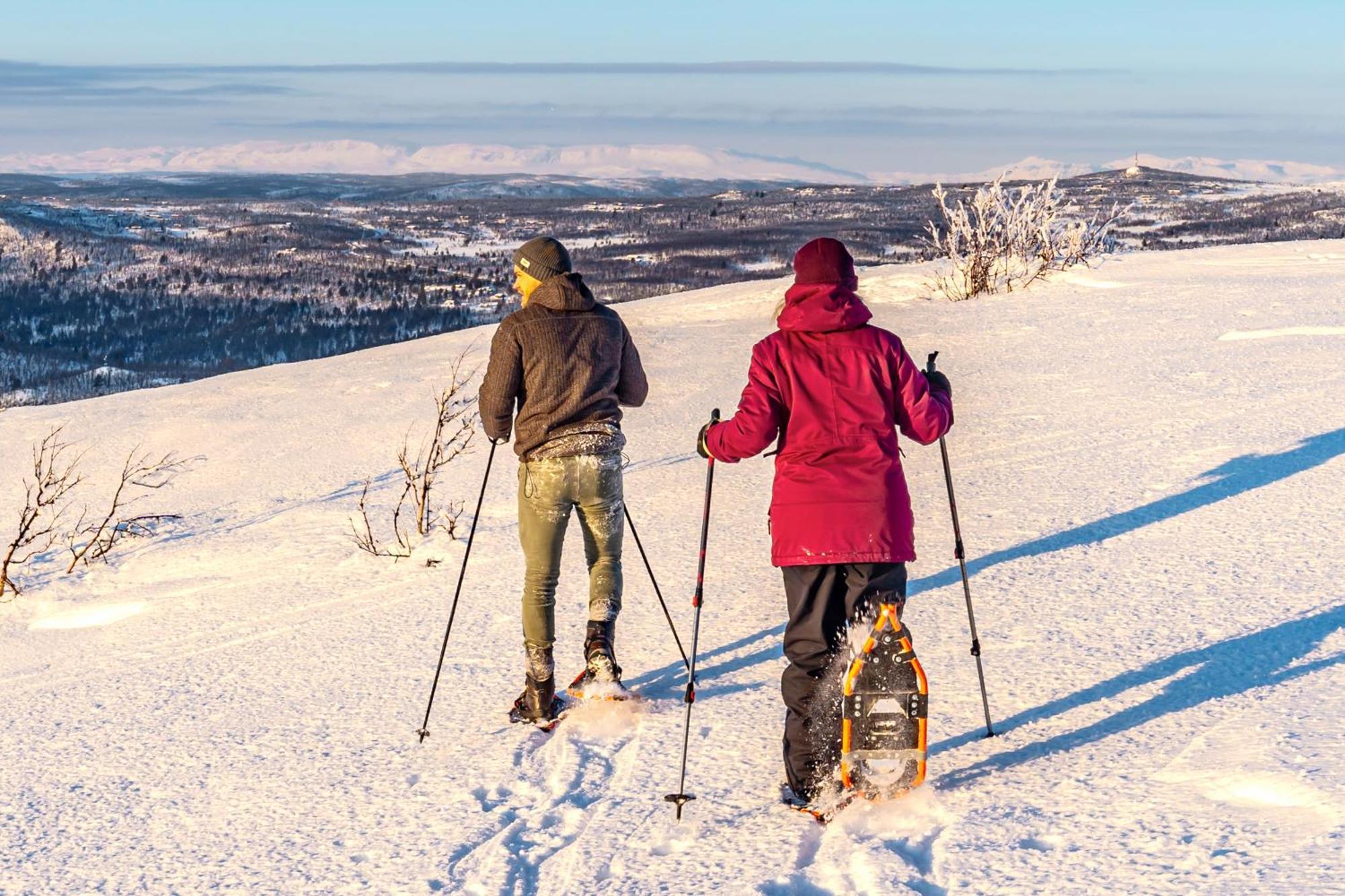 Active Adventure Base - Apartment & Lavvo, Dagali Fjellpark エクステリア 写真